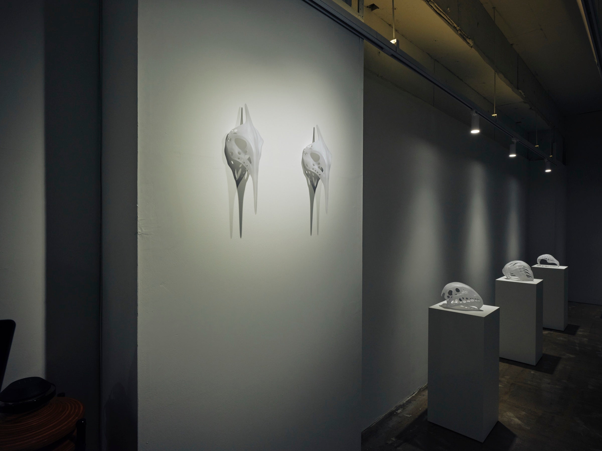 Second Anatomy — installation view 2
