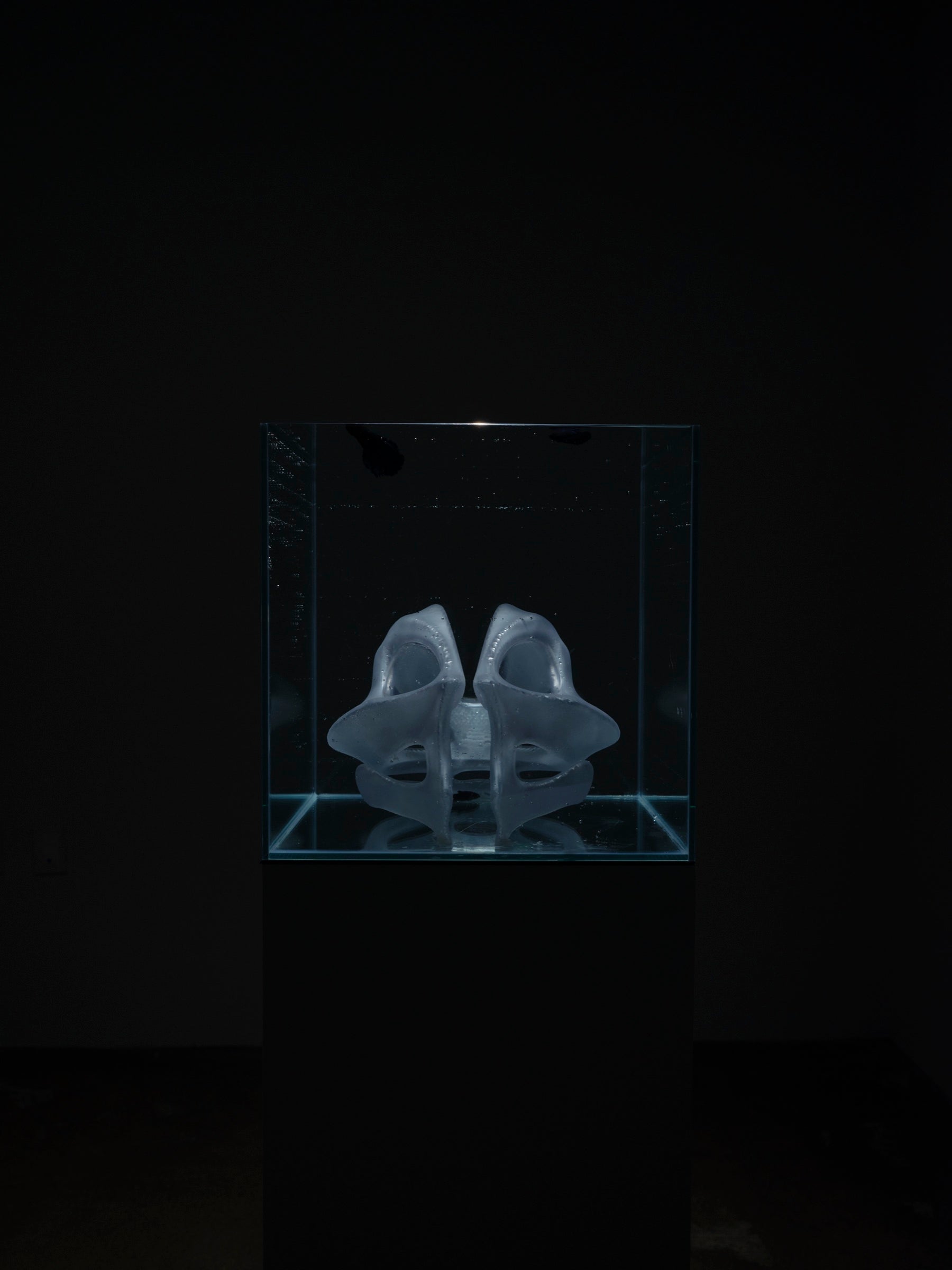 Second Anatomy — installation view 6