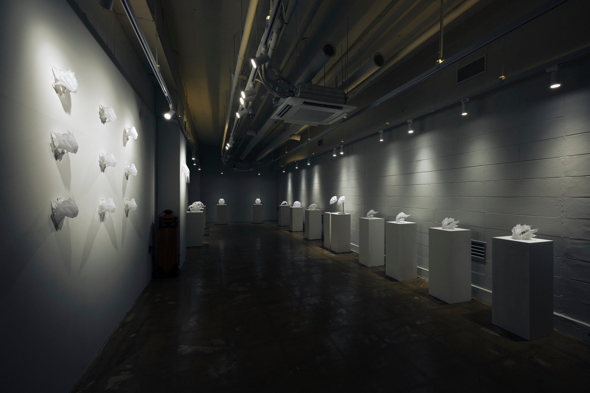 Second Anatomy — installation view 1