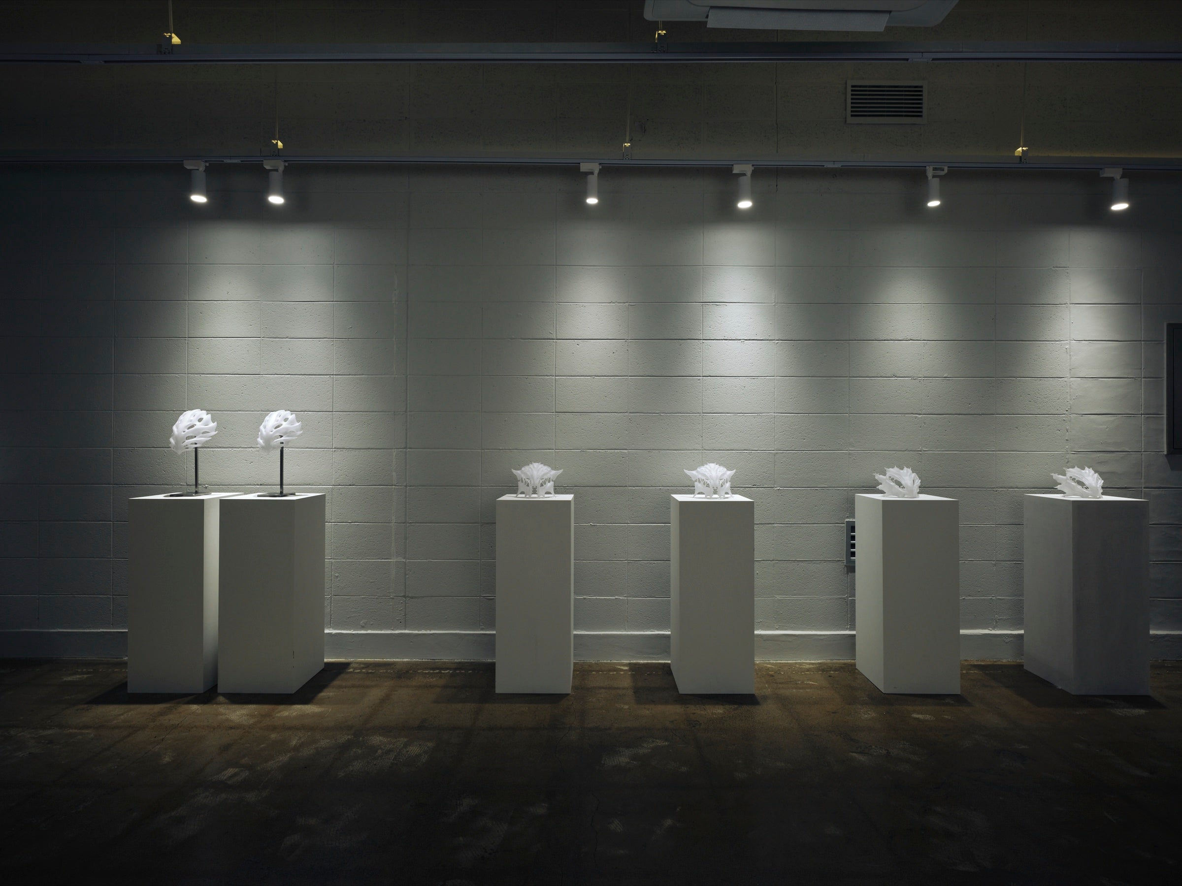 Second Anatomy — installation view 3
