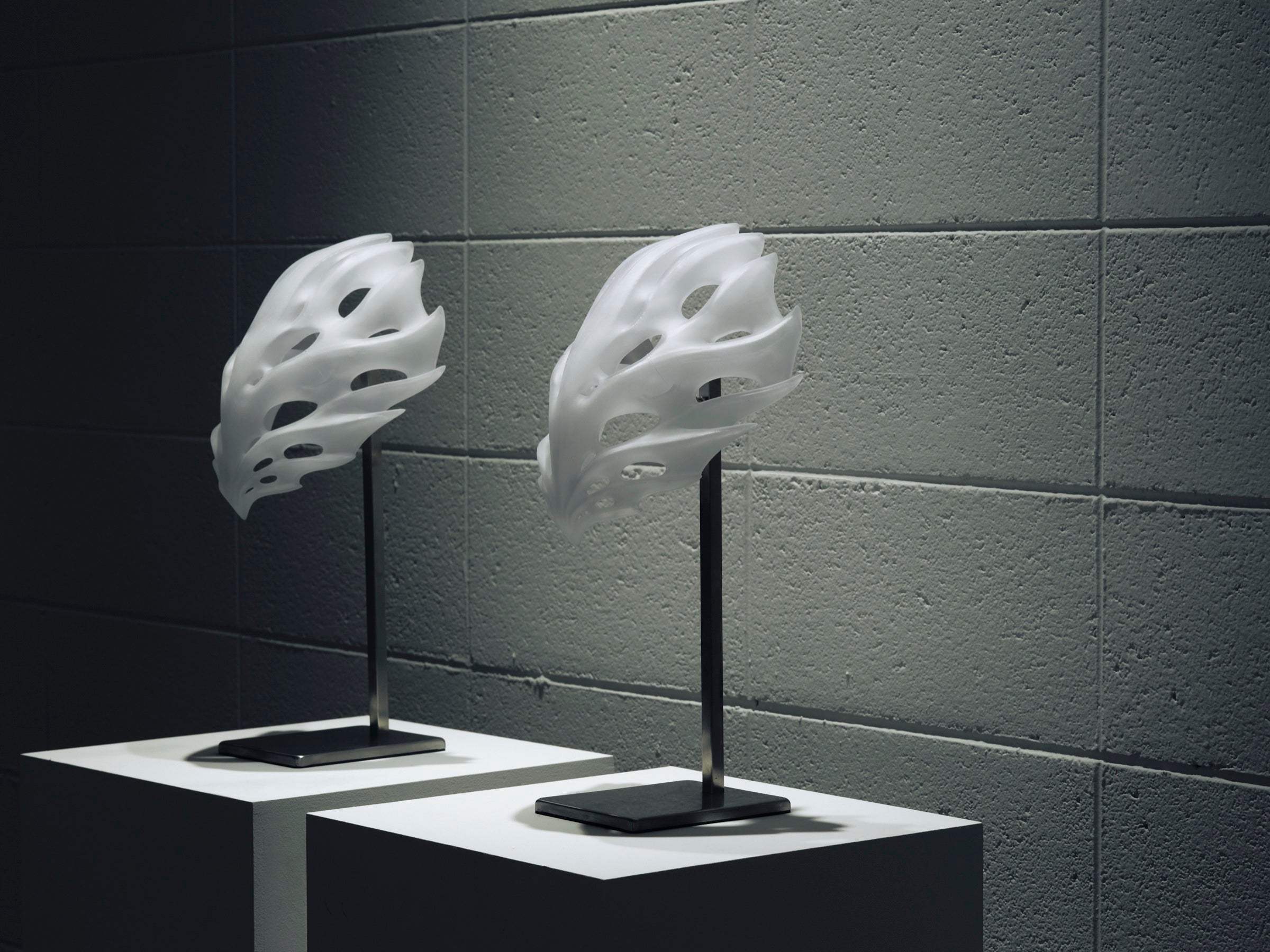 Second Anatomy — installation view 4