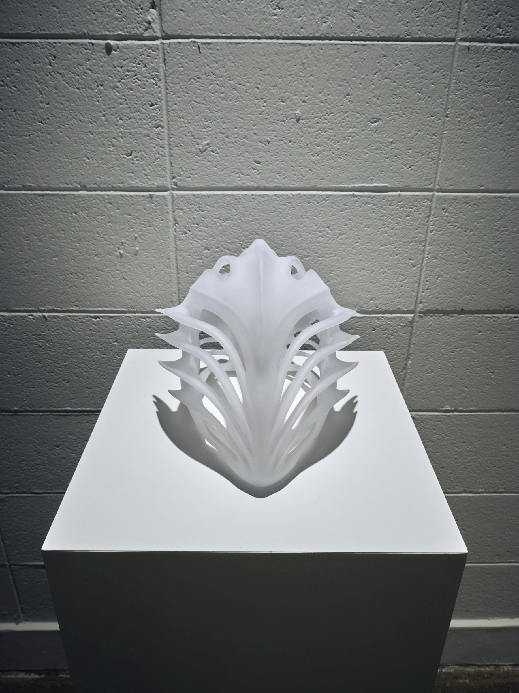 Second Anatomy — installation view 5